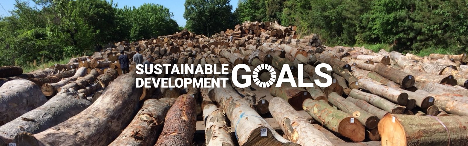 木の暮らしのSDGsへの取り組み