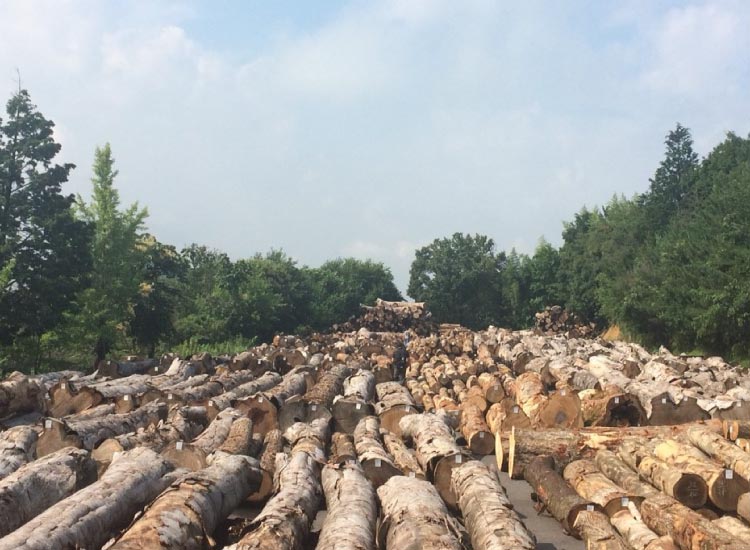 結婚式の両親プレゼント。つながる木目が心をつなげて想いとなる。木の暮らしだけの本物の三連時計