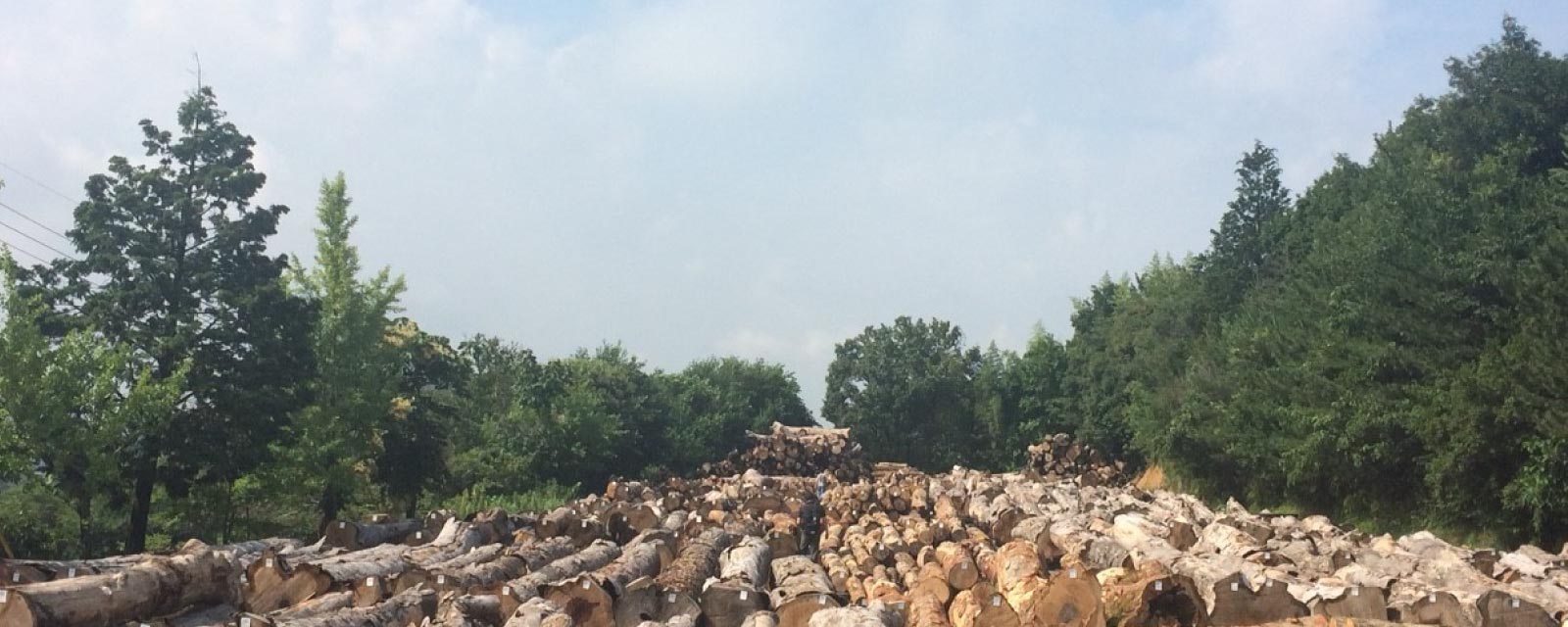 結婚式の両親プレゼント。つながる木目が心をつなげて想いとなる。木の暮らしだけの本物の三連時計