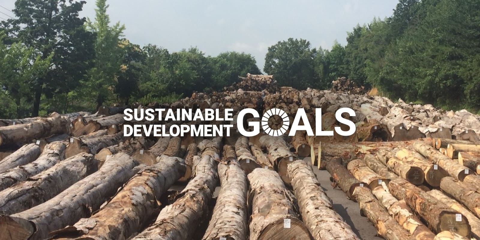 SDGsへの取り組み